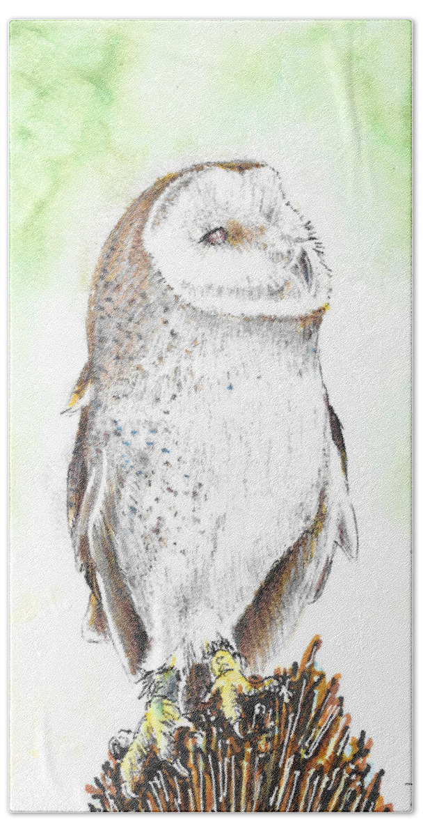 Barn Owl Beach Towel featuring the painting Barn Owl by Thomas Hamm