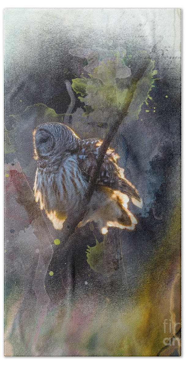 Barred Owl Beach Towel featuring the photograph Barred Owl in a Floof after Preening, Backlit Rimmed in a Golden Sunset by Sandra Rust