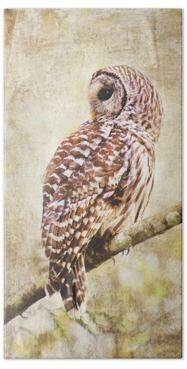 Barred Owl Beach Towel featuring the photograph Barred Owl in Alder Tree by Peggy Collins