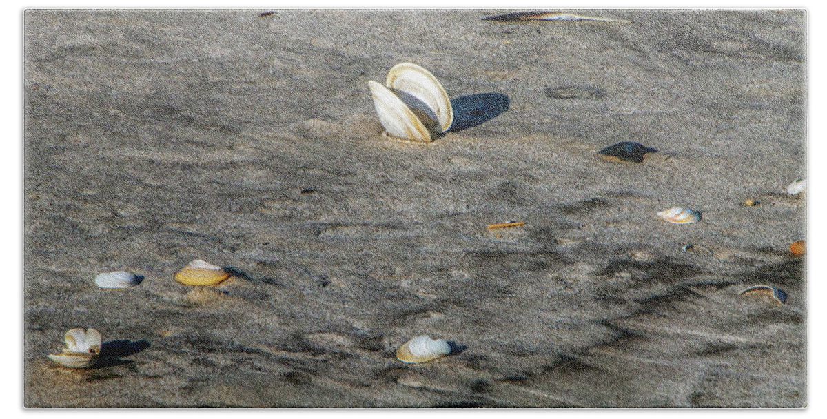 Sand Beach Towel featuring the photograph Beach Things by Cathy Kovarik
