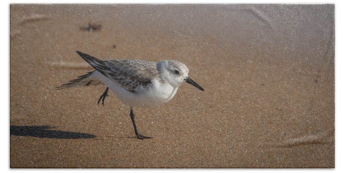 Bird Beach Sheet featuring the photograph Beach Yoga by Linda Bonaccorsi