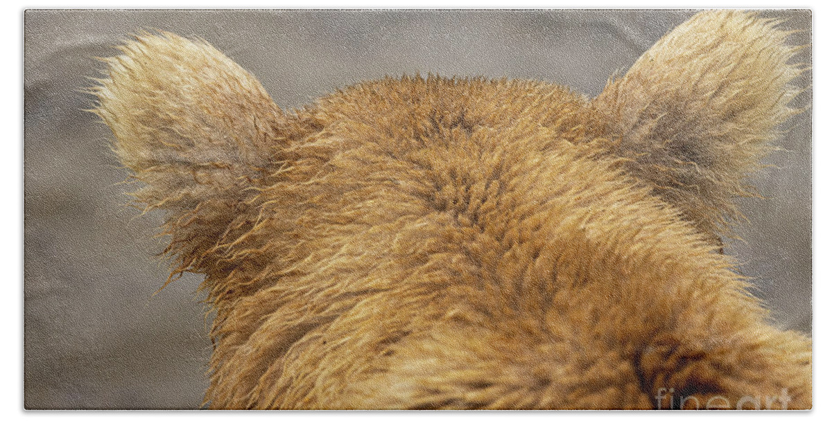 Grizzly Beach Towel featuring the photograph Bear ears by Terri Cage