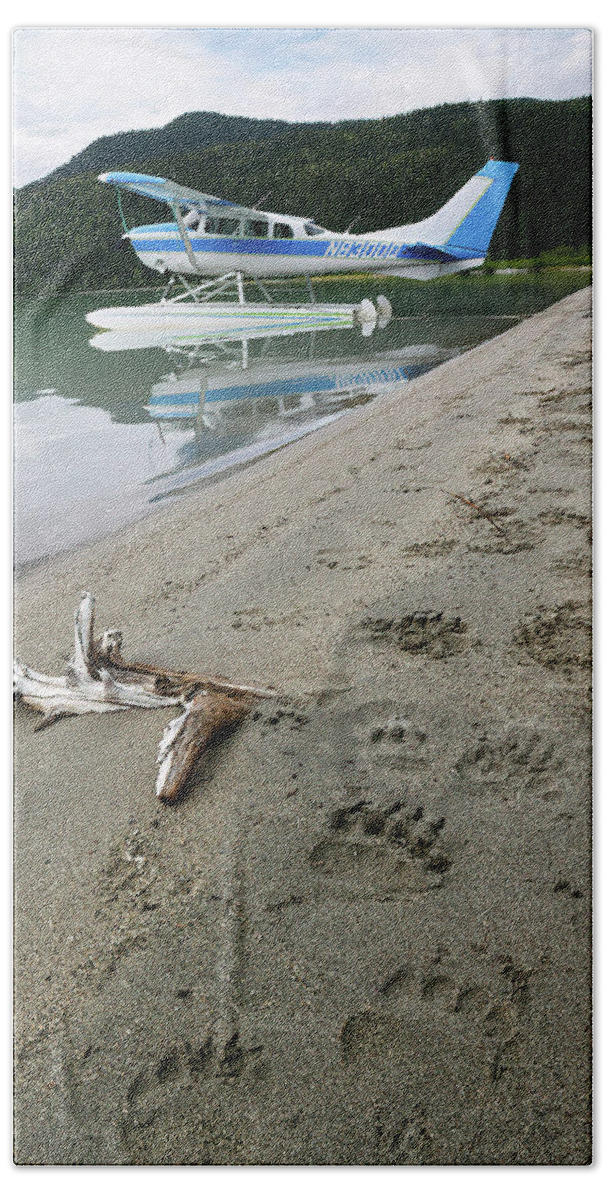 Alaska Beach Towel featuring the photograph Bear Tracks in Alaska by Cheryl Strahl
