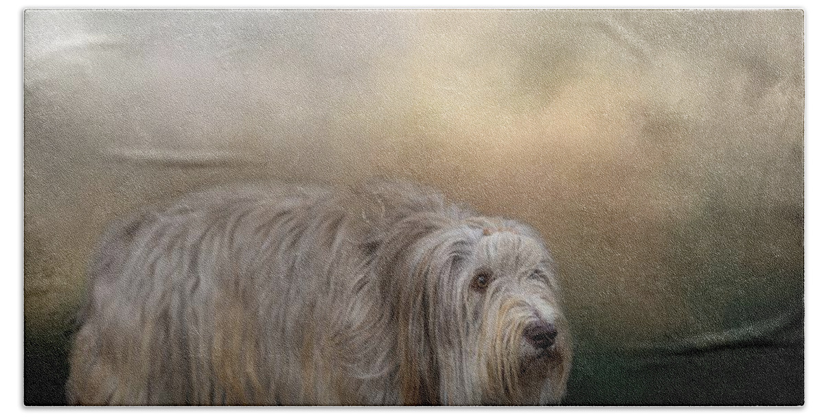Bearded Collie Beach Towel featuring the photograph Bearded Collie by Eva Lechner
