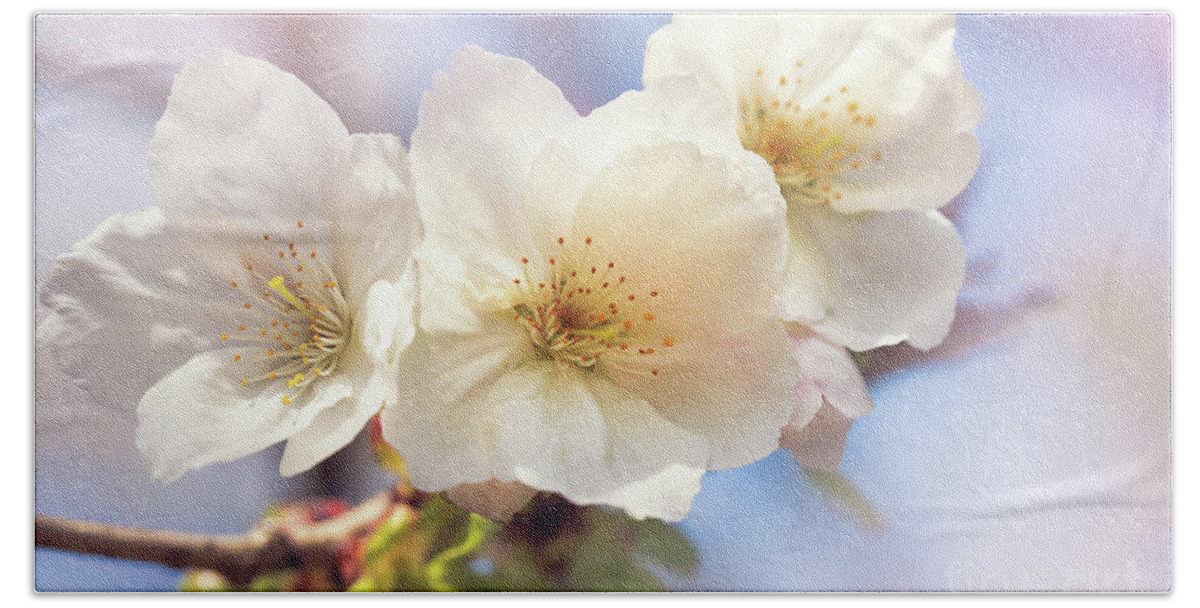 Cherry Beach Towel featuring the photograph Beautiful pink cherry blossom closeup by Jane Rix