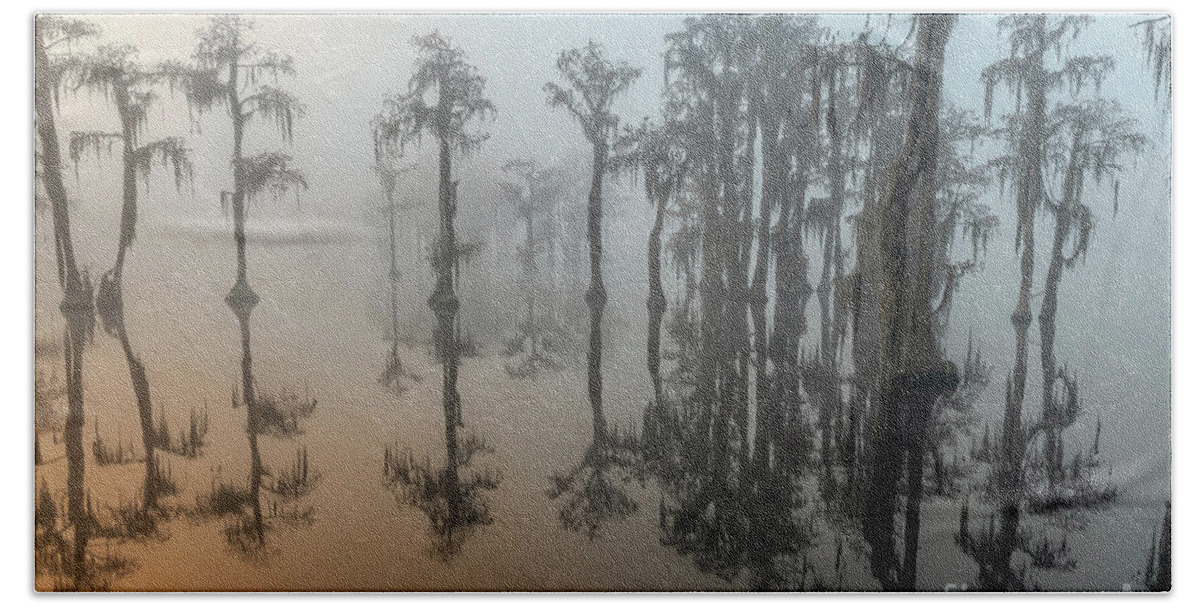 Fog Beach Towel featuring the photograph Beauty In The Fog 2 by DB Hayes