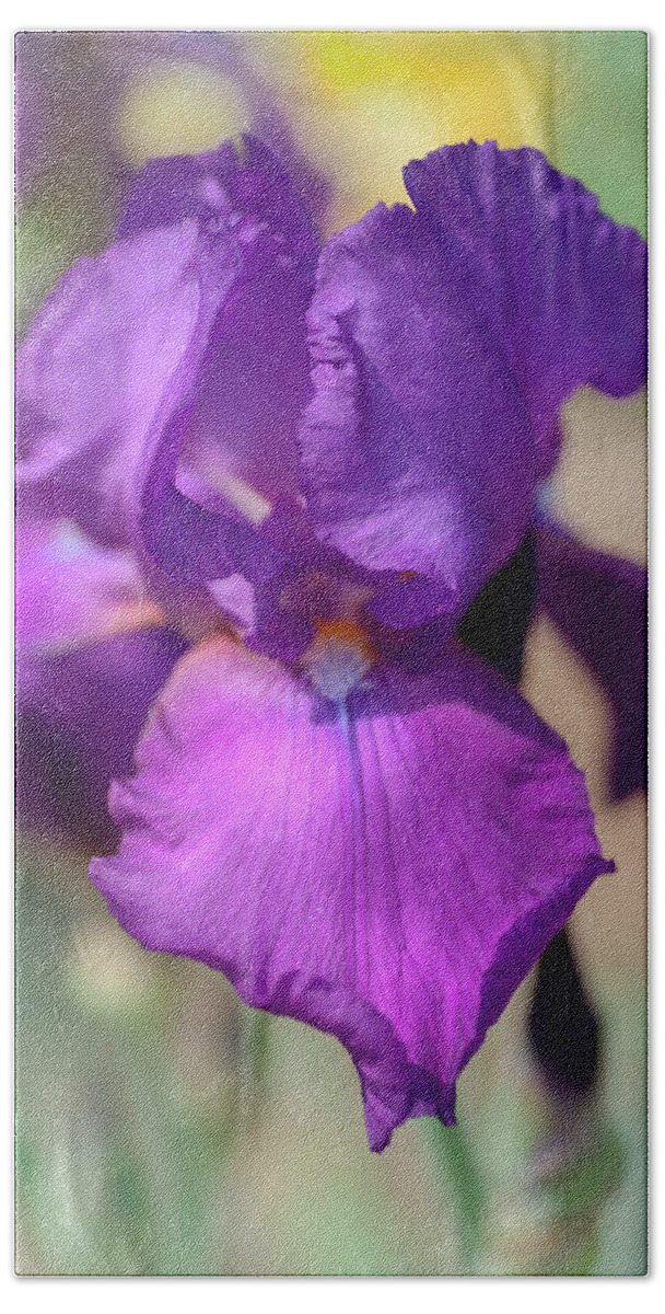 Jenny Rainbow Fine Art Photography Beach Towel featuring the photograph Beauty Of Irises. Chordette by Jenny Rainbow