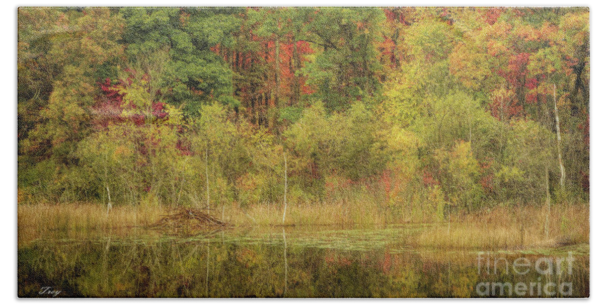 Nature Beach Towel featuring the photograph Beaver Lodge by Trey Foerster
