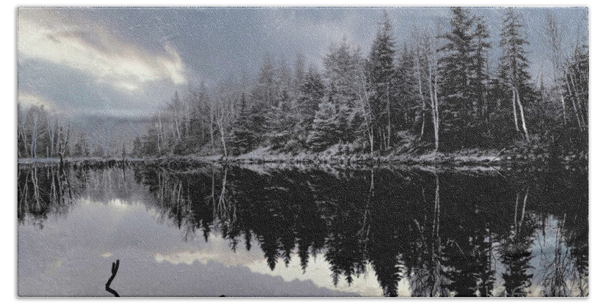 Landscape Beach Towel featuring the photograph Beaver Pond in Winter by Elaine Manley