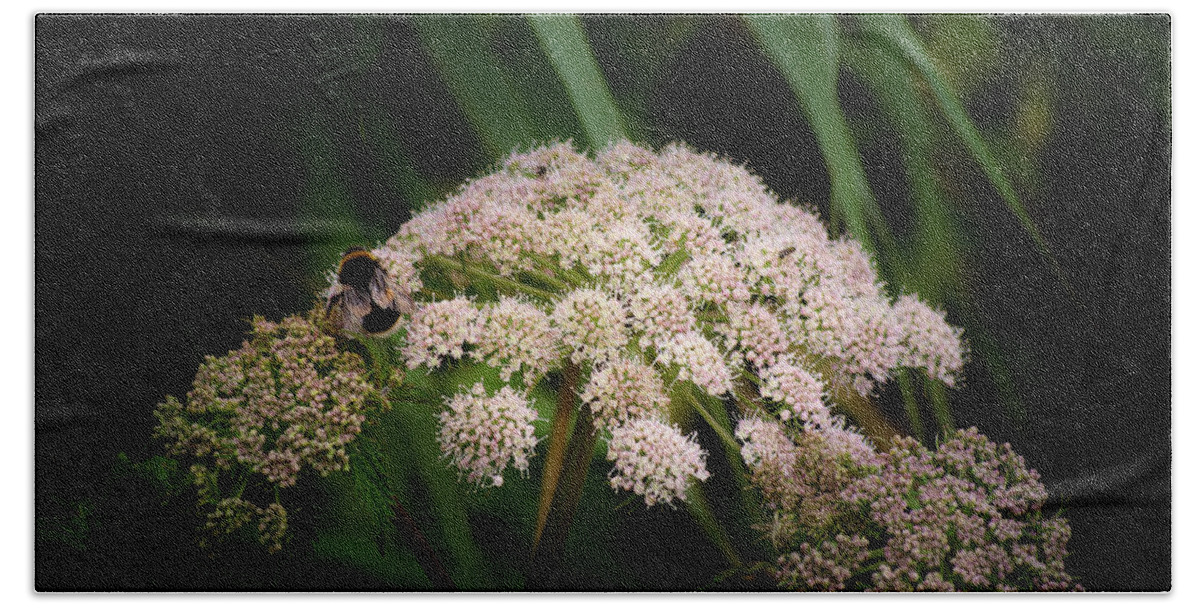 Beach Beach Towel featuring the photograph Bee friendly by Spikey Mouse Photography