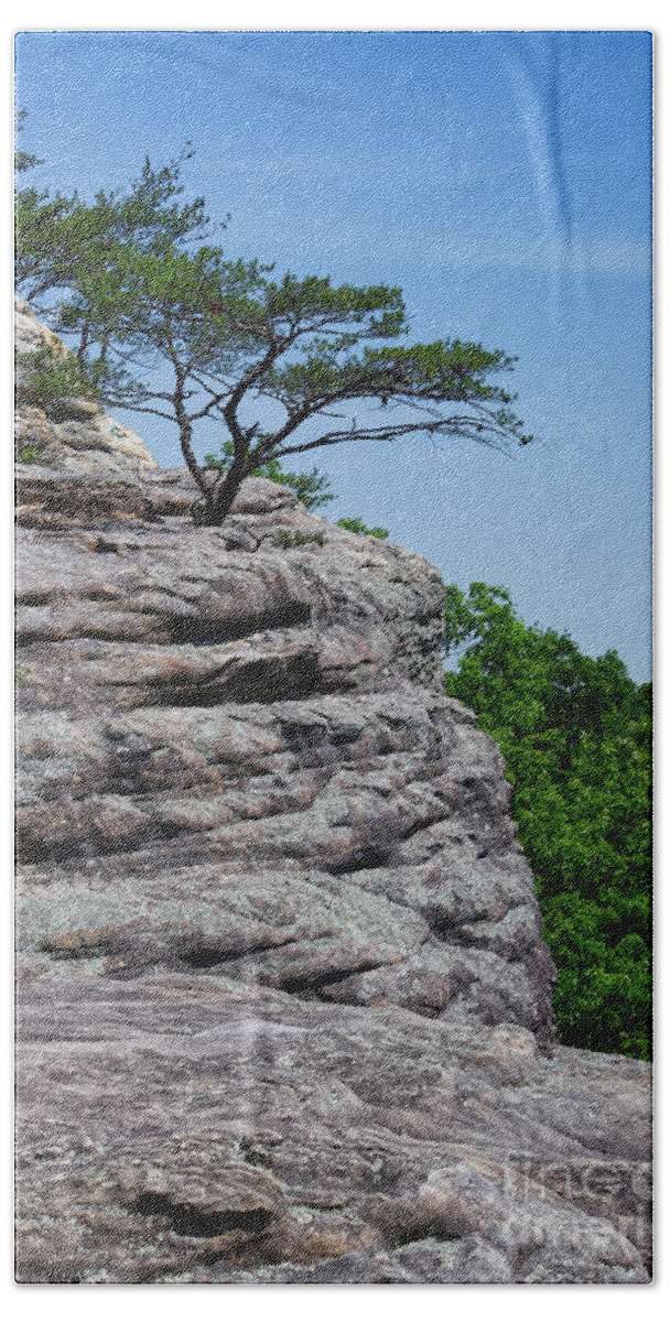 View Beach Towel featuring the photograph Bee Rock Overlook 10 by Phil Perkins