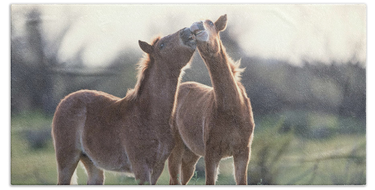 Foals Beach Towel featuring the photograph Best Buds by Shannon Hastings
