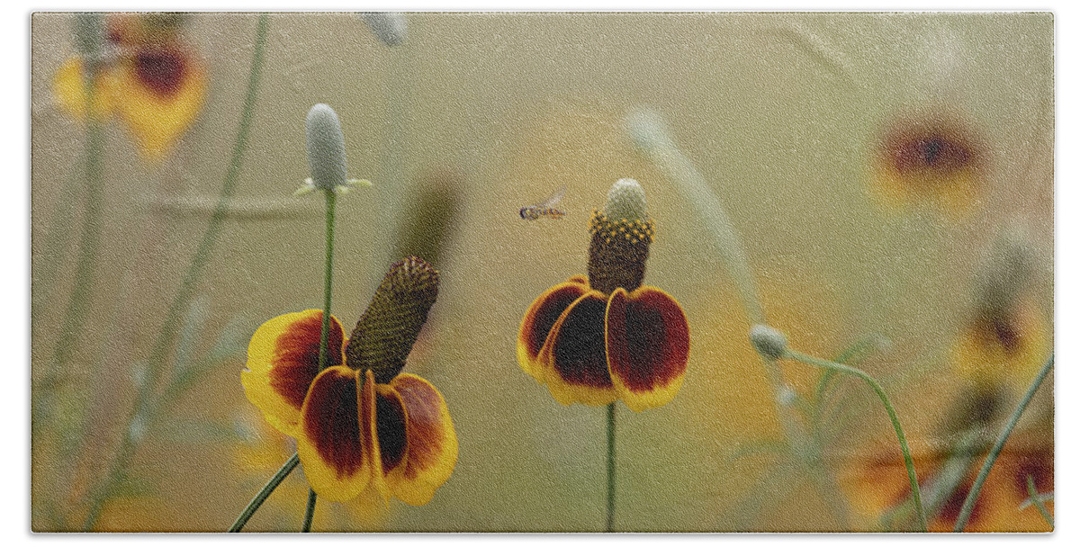 Insect Beach Towel featuring the photograph Between Flowers by Deon Grandon