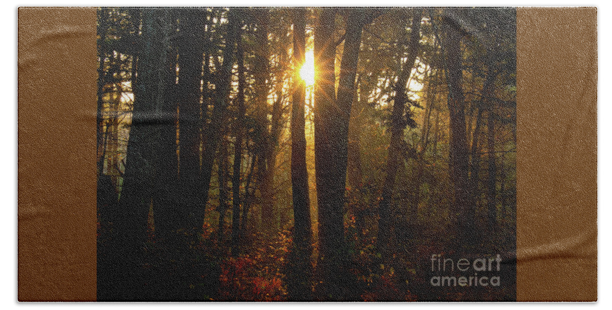 Nature Beach Towel featuring the photograph Between The Trees by Sharon Mayhak