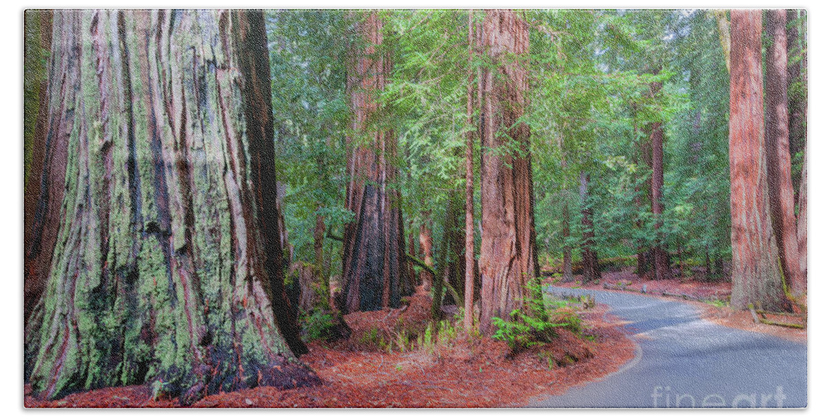Big Basin Beach Towel featuring the photograph Big Basin Redwoods photo, 3 by Glenn Franco Simmons