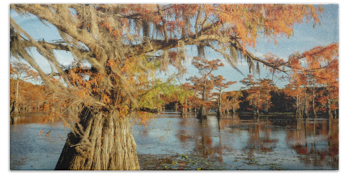 Caddo Lake Beach Towel featuring the photograph Big Senile of the Lake by Iris Greenwell