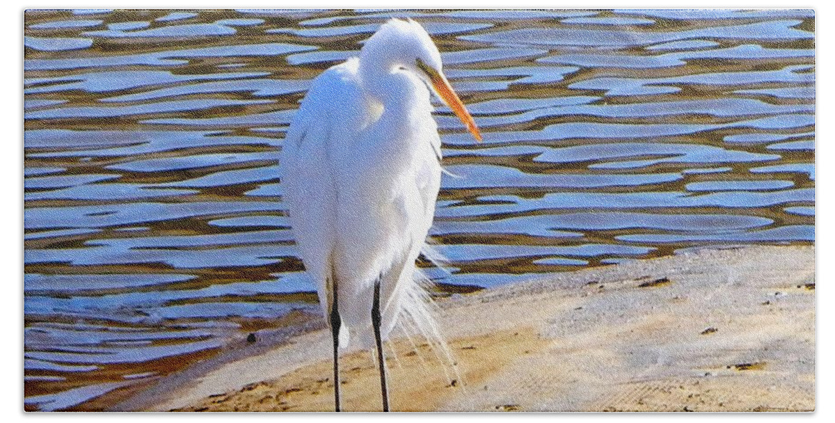 Egret Beach Towel featuring the photograph Big Tall Bird by Andrew Lawrence
