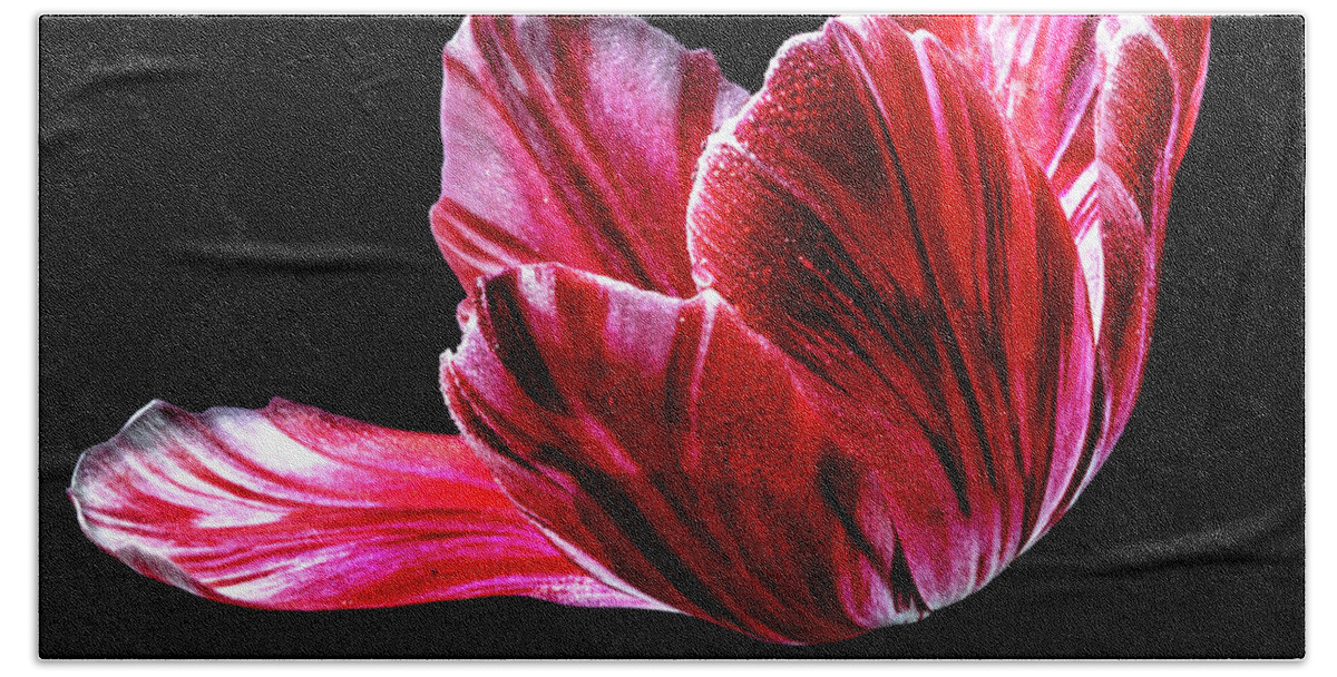 Red Beach Towel featuring the photograph Billowing by Doug Norkum