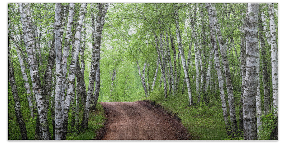 Trees Beach Towel featuring the photograph Birch Tree Forest Path #3 by Patti Deters