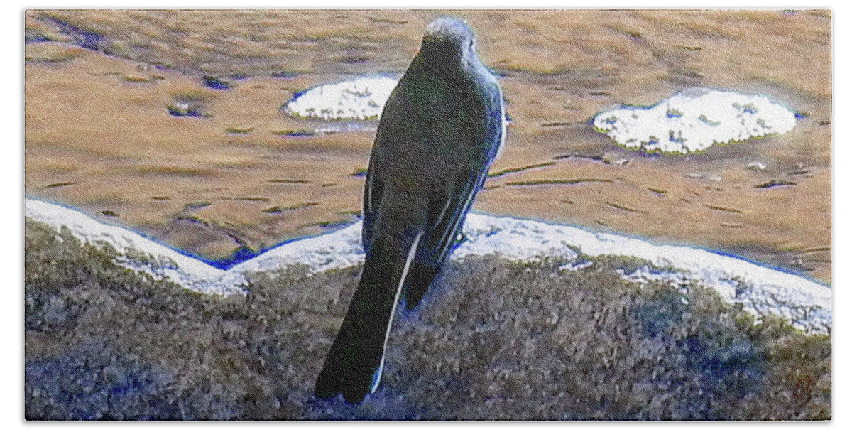 Bird Beach Towel featuring the photograph Bird On A Boulder by Andrew Lawrence