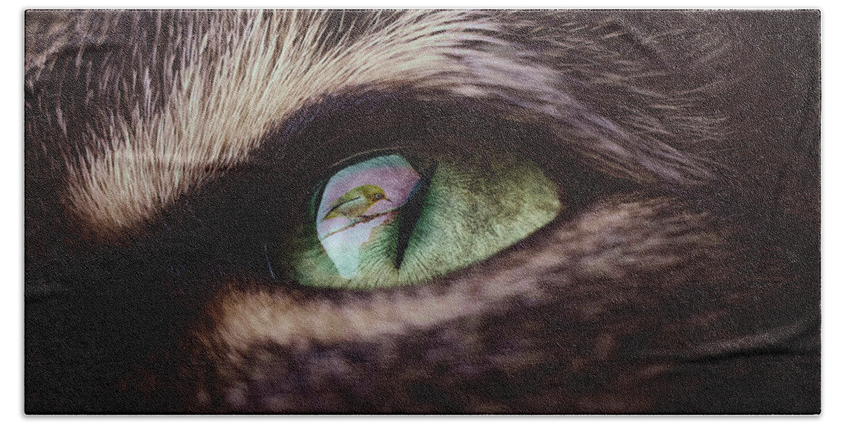 Reflection Beach Towel featuring the mixed media Bird Reflecting in a Cat's Eye by Shelli Fitzpatrick