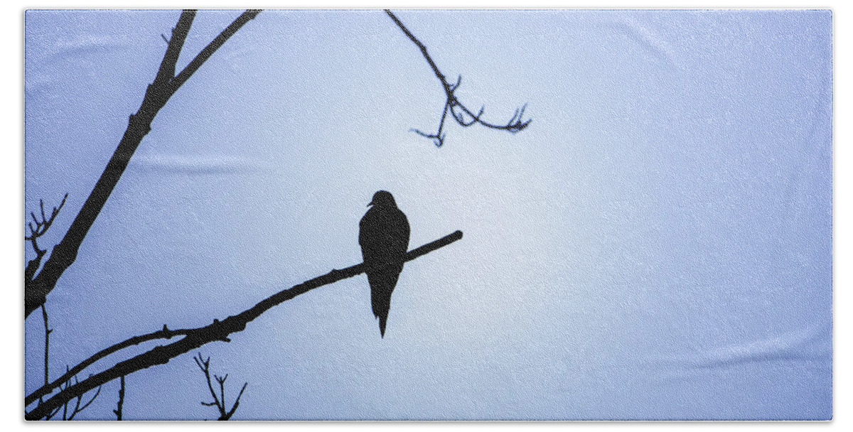 Bird Beach Towel featuring the photograph Mourning Dove Silhouette - Blue Skies by Jason Fink