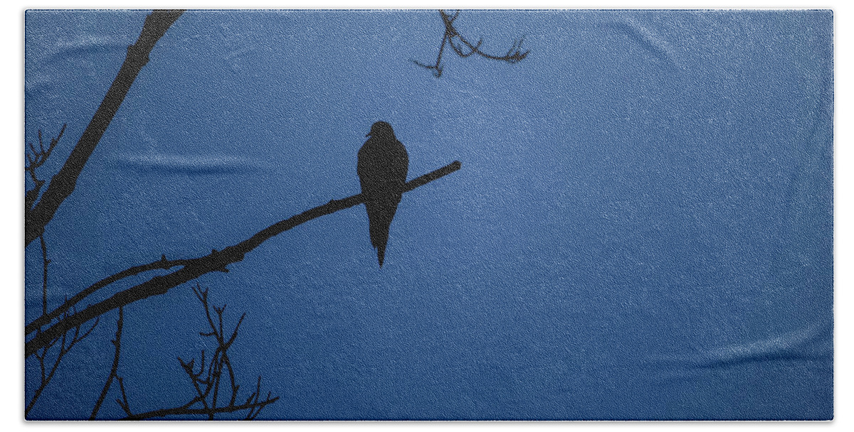 Bird Beach Towel featuring the photograph Mourning Dove Silhouette - Midnight by Jason Fink