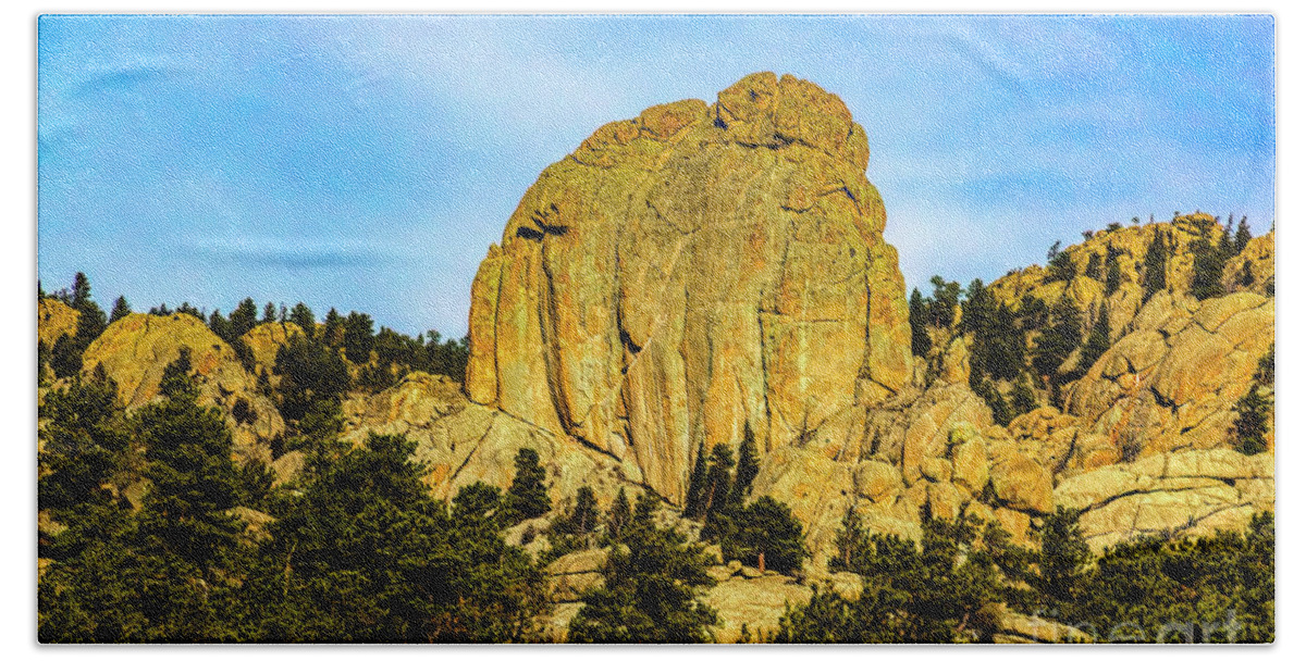 Jon Burch Beach Towel featuring the photograph Birds of a Feather by Jon Burch Photography