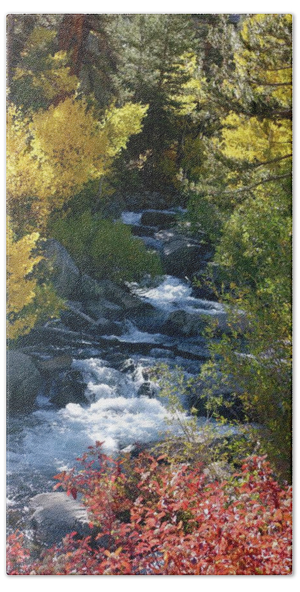 Bishop Creek Beach Towel featuring the photograph Fall Color and Sun Rays on Bishop Creek by Bonnie Colgan
