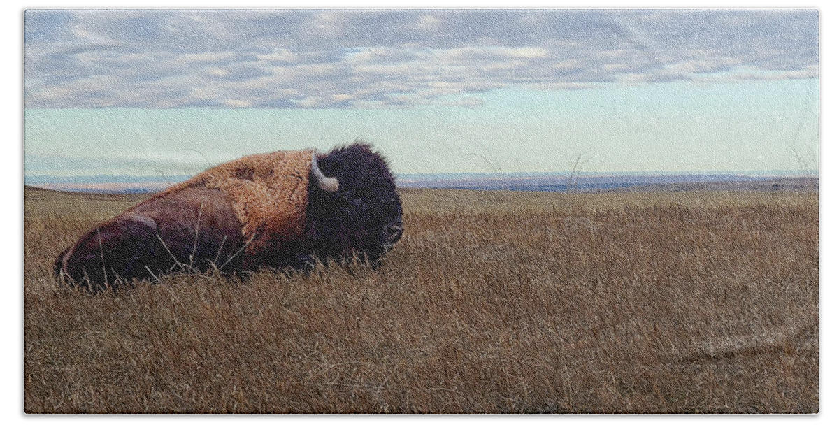 Badlands Beach Towel featuring the photograph Bison on the Prairie by Double AA Photography