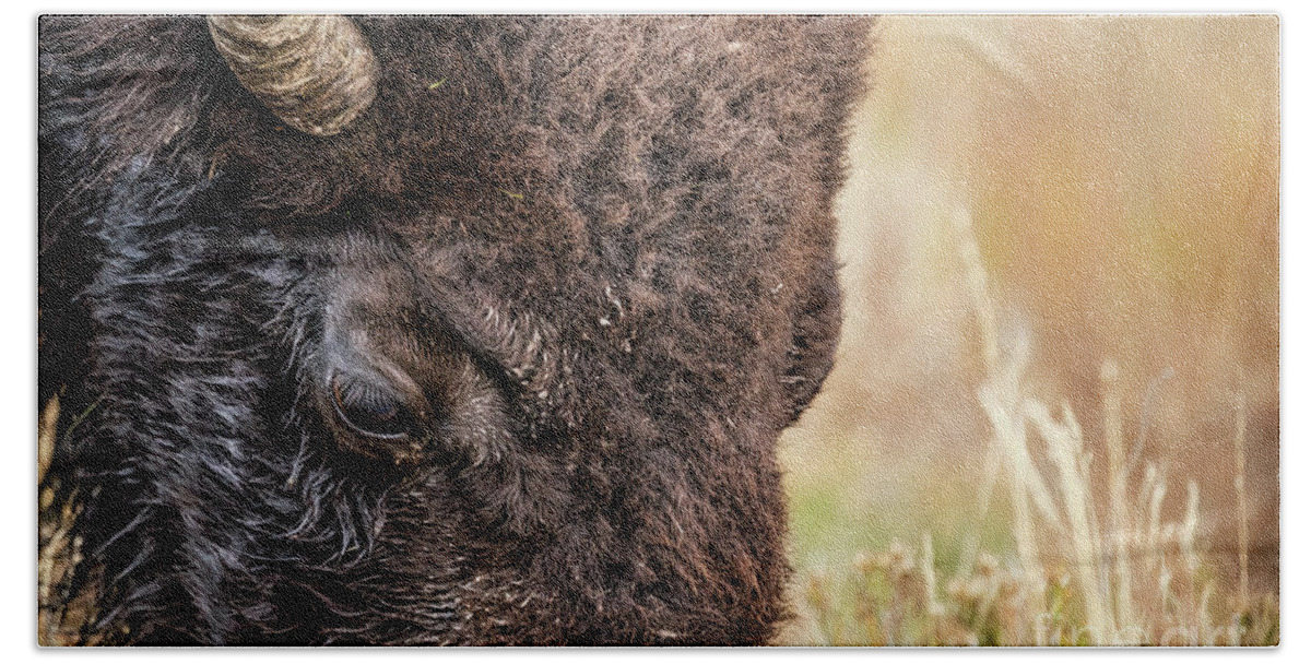 American Bison Beach Towel featuring the photograph Bison Portrait 2 by Al Andersen