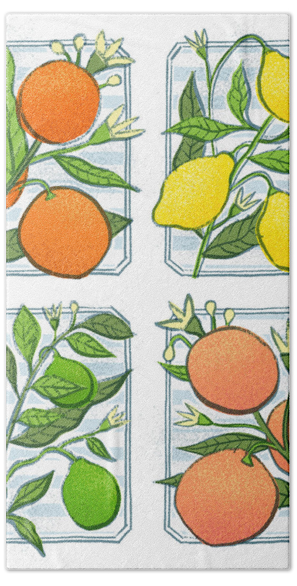 Orange Beach Towel featuring the painting Bistro Citrus Botanical Art Quad - Orange Lemon Lime Grapefruit - Art by Jen Montgomery by Jen Montgomery