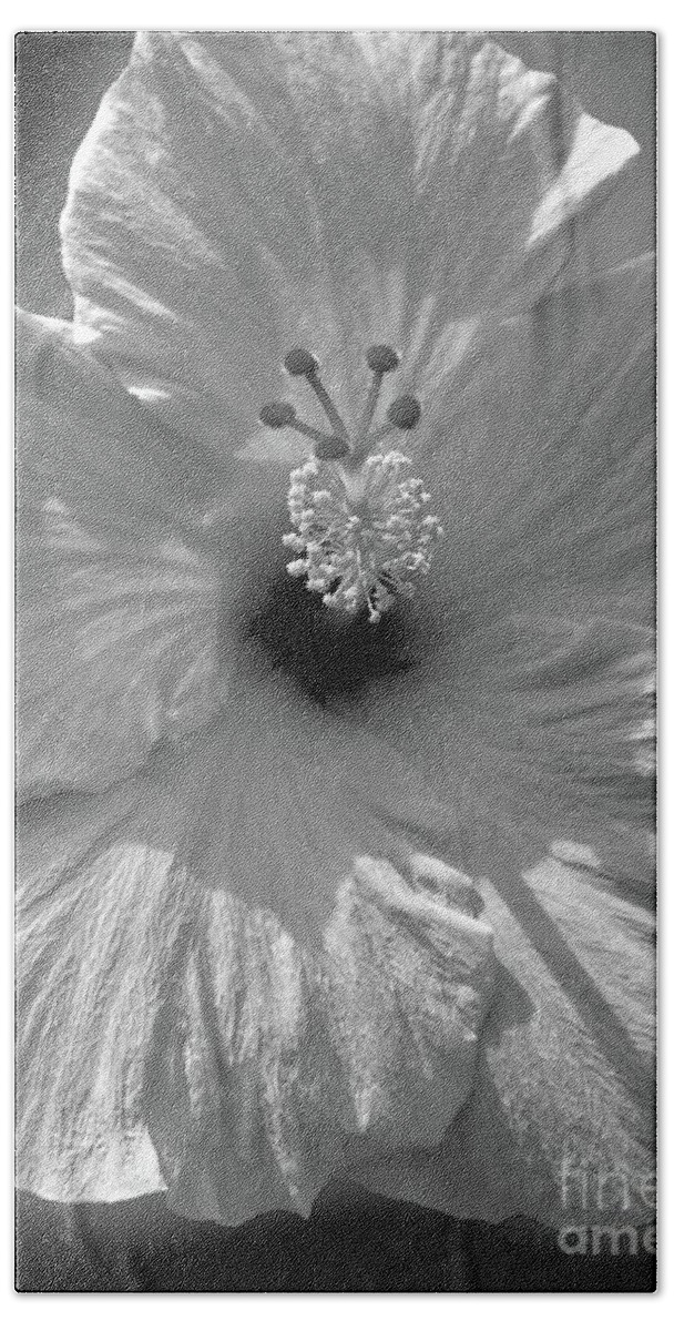 Flower Beach Towel featuring the photograph Black and White Hibiscus by Mafalda Cento