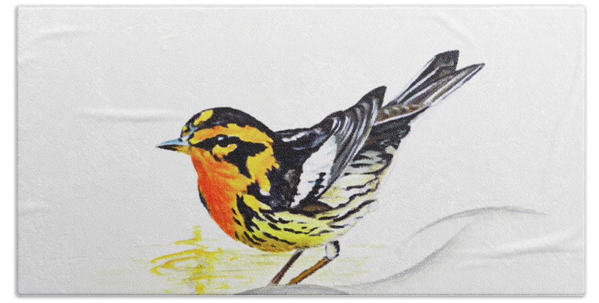 Bird Beach Towel featuring the painting Black Burnian Warbler by Jimmie Bartlett