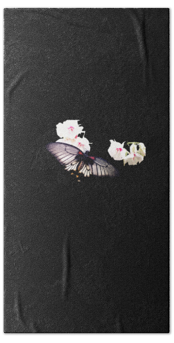 Black Butterfly Beach Towel featuring the digital art Black Butterfly Gifts by Caterina Christakos