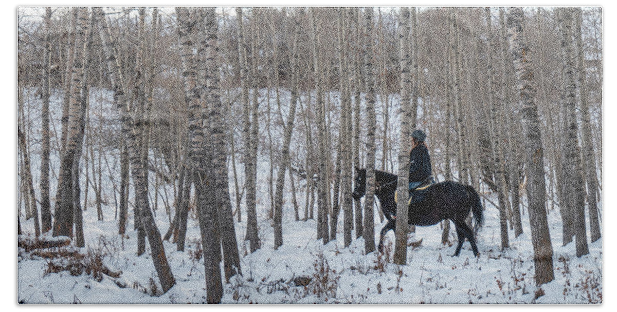 Horse Beach Towel featuring the photograph Black Horse In Winter Woods by Phil And Karen Rispin