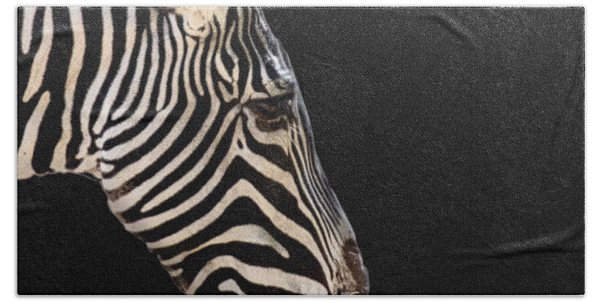 Zebra Beach Towel featuring the photograph Black With White Stripes by Jim Signorelli