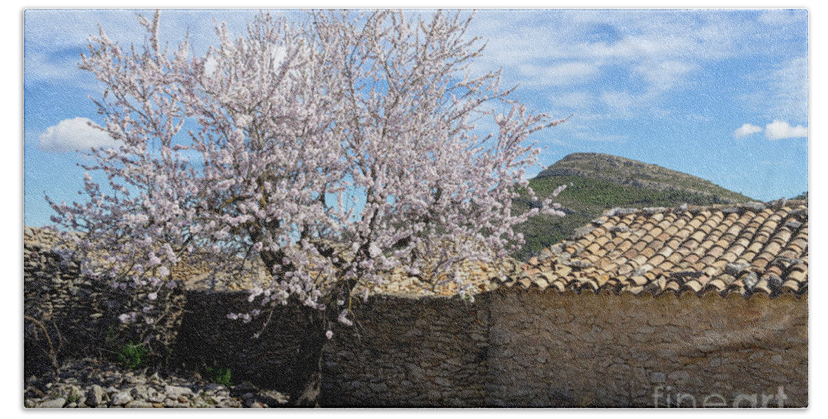 Almond Tree Beach Towel featuring the photograph Blooming almond tree and traditional farmhouse by Adriana Mueller