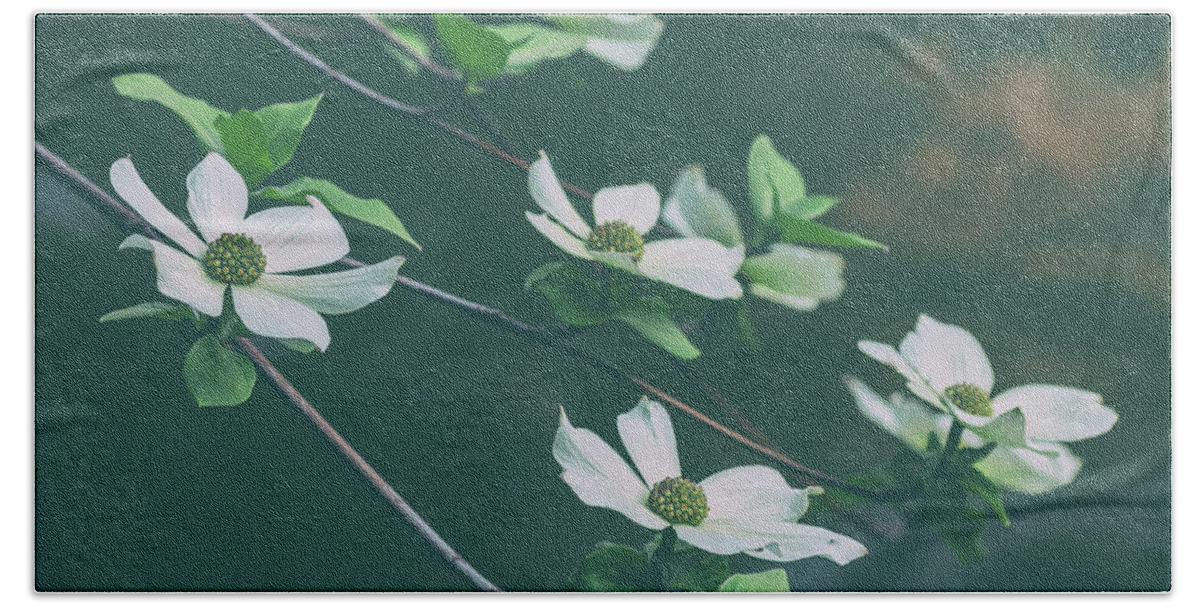 Yosemite National Park Beach Towel featuring the photograph Blooming Dogwoods by Jonathan Nguyen