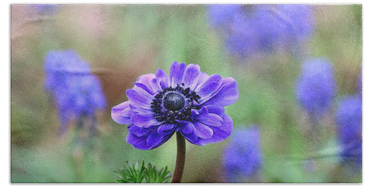 Nature Beach Towel featuring the photograph Blue Anemone and Muscari by Sheila Brown
