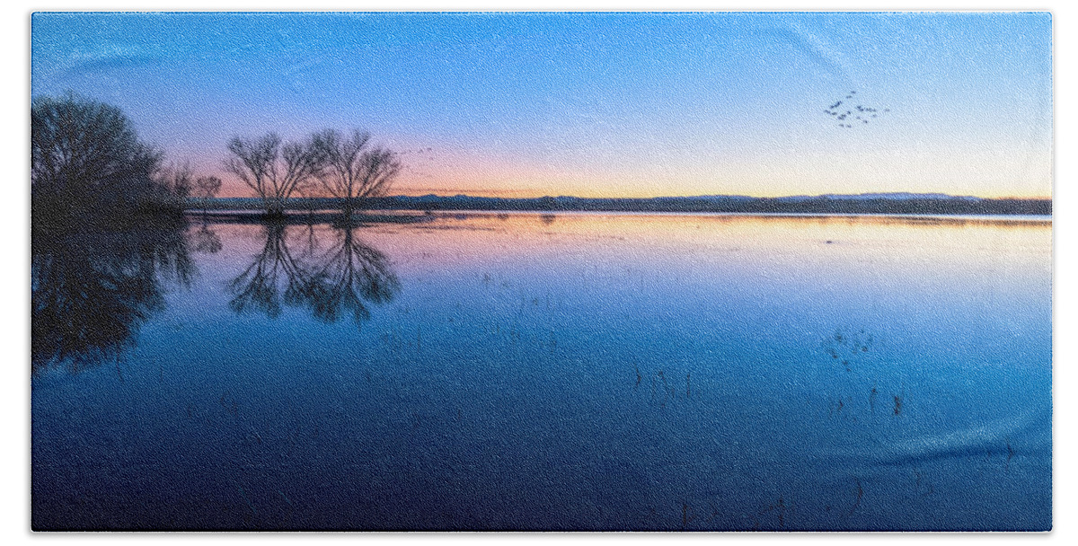Bosque Del Apache Beach Towel featuring the photograph Blue Hour Bosque by Alicia Glassmeyer