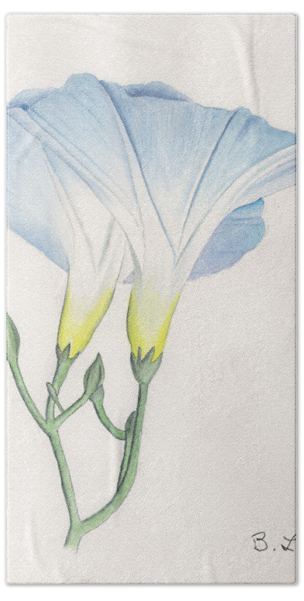 Watercolor Beach Towel featuring the painting Blue Morning Glory by Bob Labno
