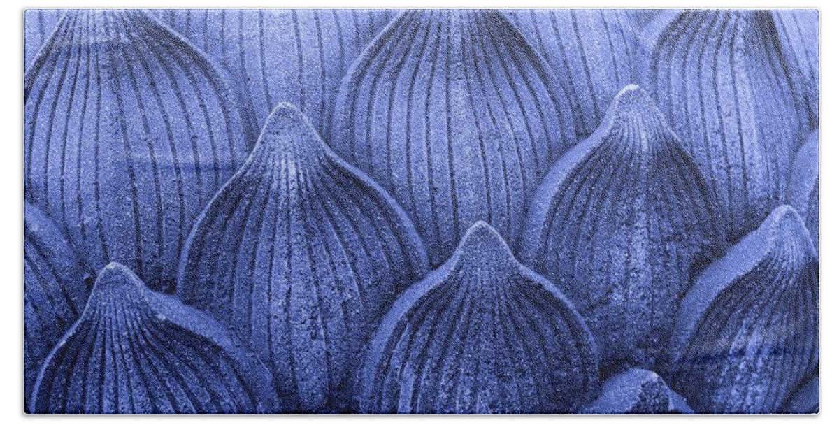 Pattern Beach Towel featuring the photograph Blue petals by Josu Ozkaritz
