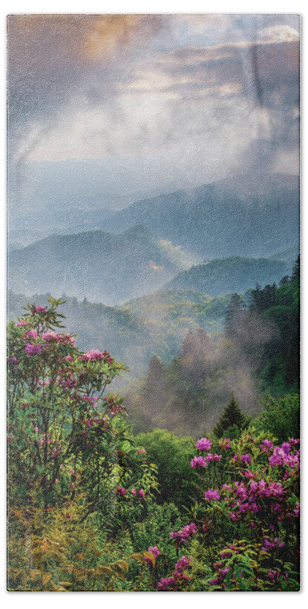 Spring Beach Towel featuring the photograph Blue Ridge Parkway Asheville NC Moody Blooms by Robert Stephens