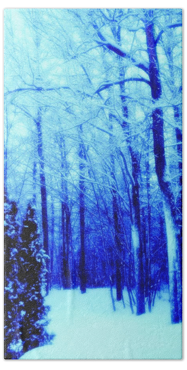 Winter Beach Towel featuring the mixed media Blue Winter Photo 180 by Lucie Dumas