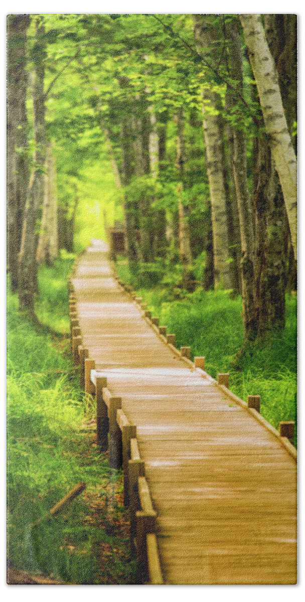 Acadia Beach Towel featuring the photograph Boardwalk in the Forest by Jeff Sinon