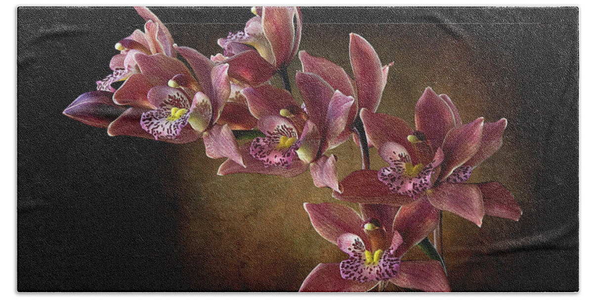 Orchids Beach Towel featuring the photograph Brown Orchids by Endre Balogh