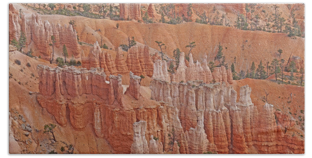 Bryce Canyon National Park Beach Towel featuring the photograph Bryce Canyon National Park - Hoodoos Closeup by Yvonne Jasinski