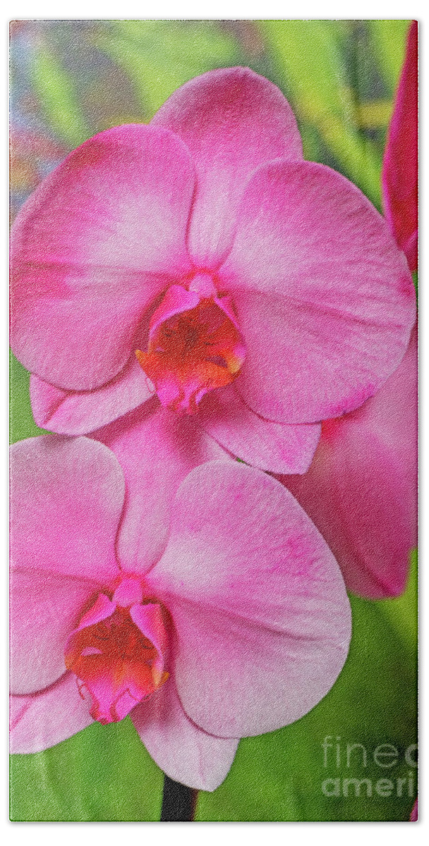 Orchid Beach Towel featuring the photograph Bubble Gum Pink Orchid by Willie Harper