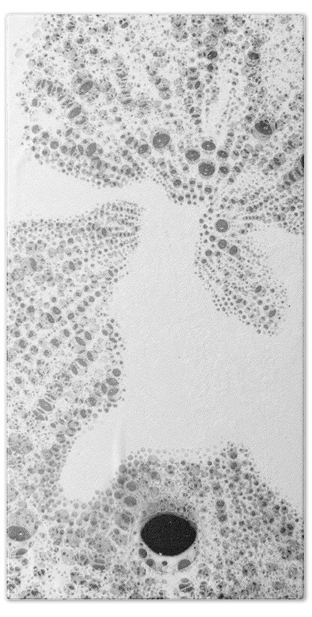 Bubble Beach Towel featuring the photograph Bubbles 3 by Kathy Paynter